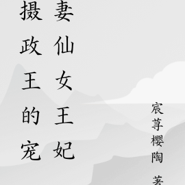 攝政王的寵妻仙女王妃
