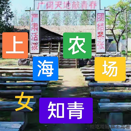 七零：上海農場女知青