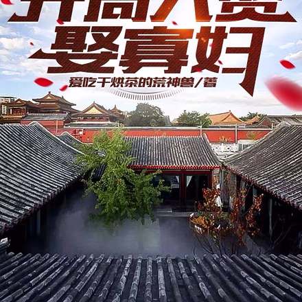 穿越四合院，開局入贅娶寡婦